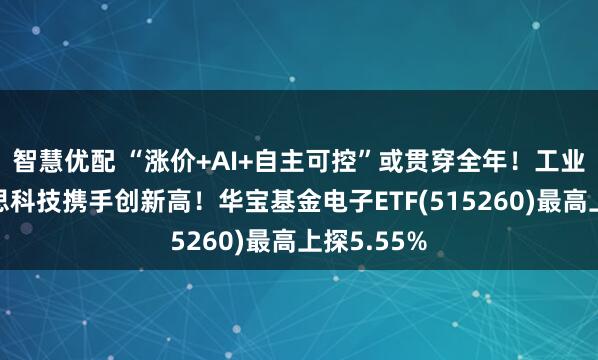 智慧优配 “涨价+AI+自主可控”或贯穿全年!工业富联、蓝思科技携手创新高!华宝基金电子ETF(515260)最高上探5.55%