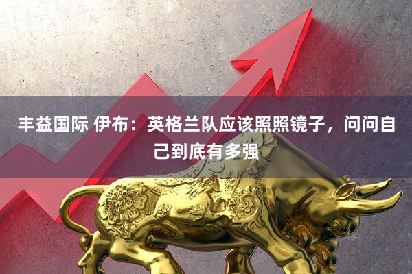 丰益国际 伊布：英格兰队应该照照镜子，问问自己到底有多强